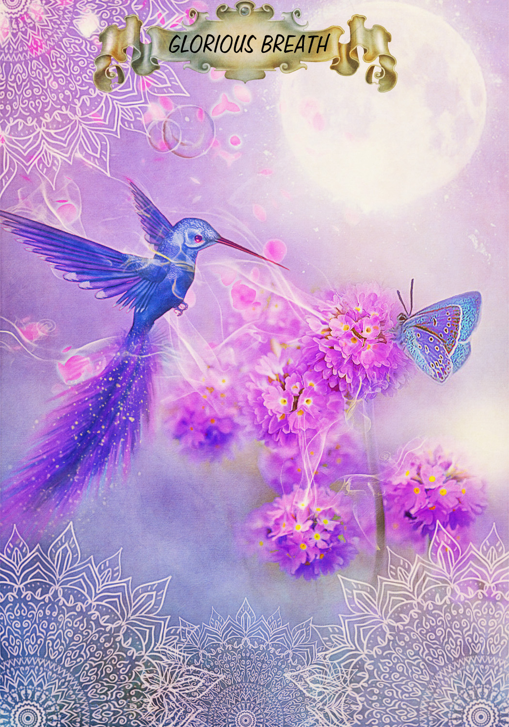A hummingbird and a butterfly both flying to a purple flower