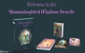 Banner, Hummingbird Wisdom Oracle books and decks