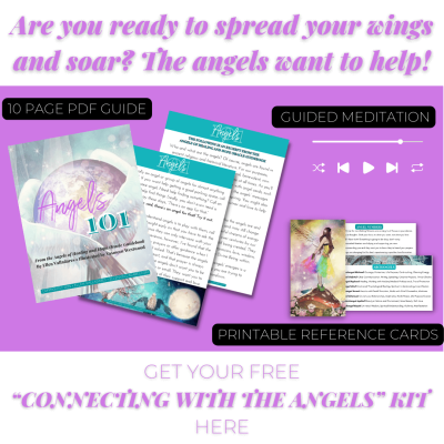 A picture of the angels kit with instructions.